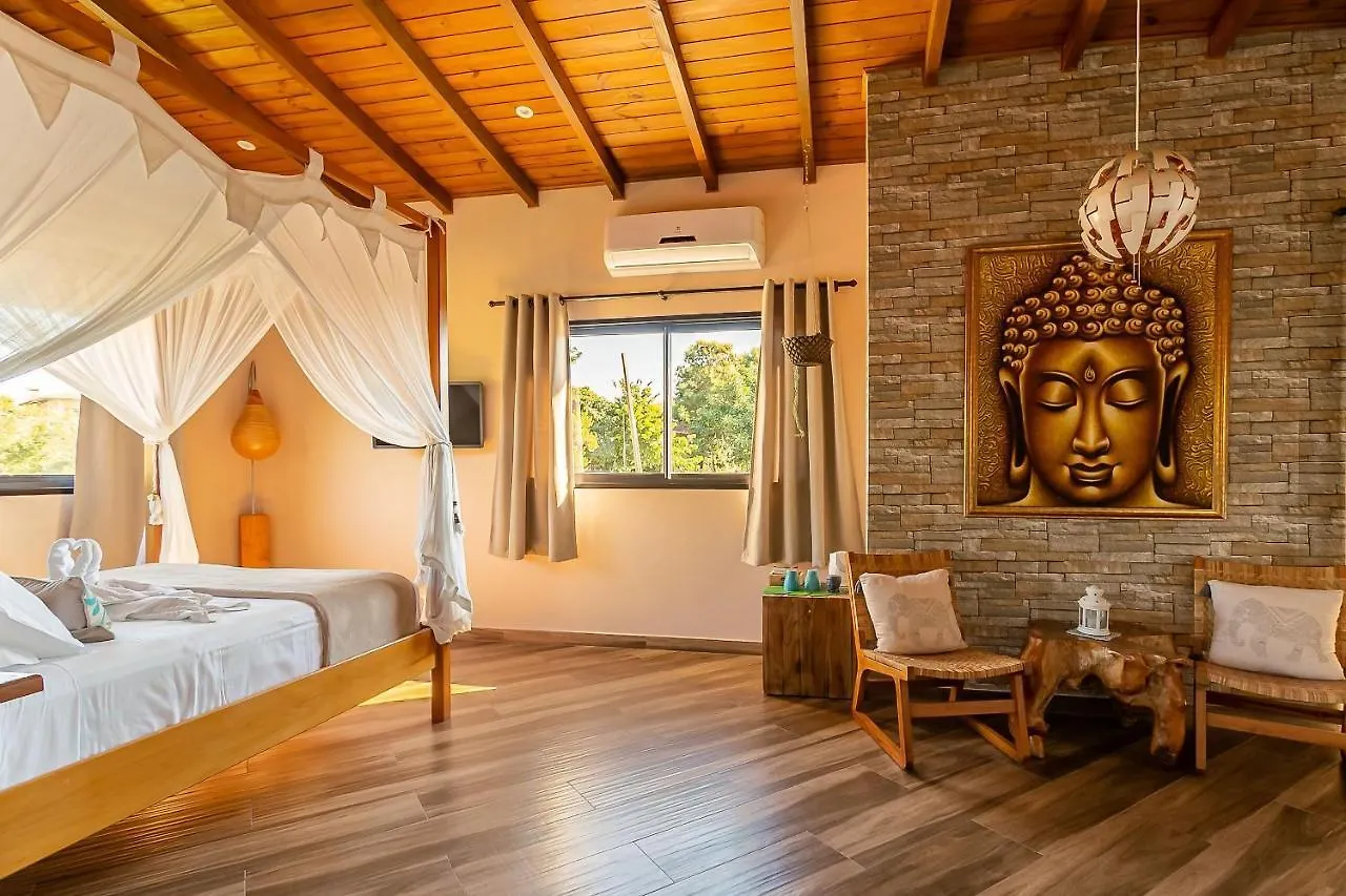 Shiva Boutique Hotel - 普腊亚罗萨 2*,
