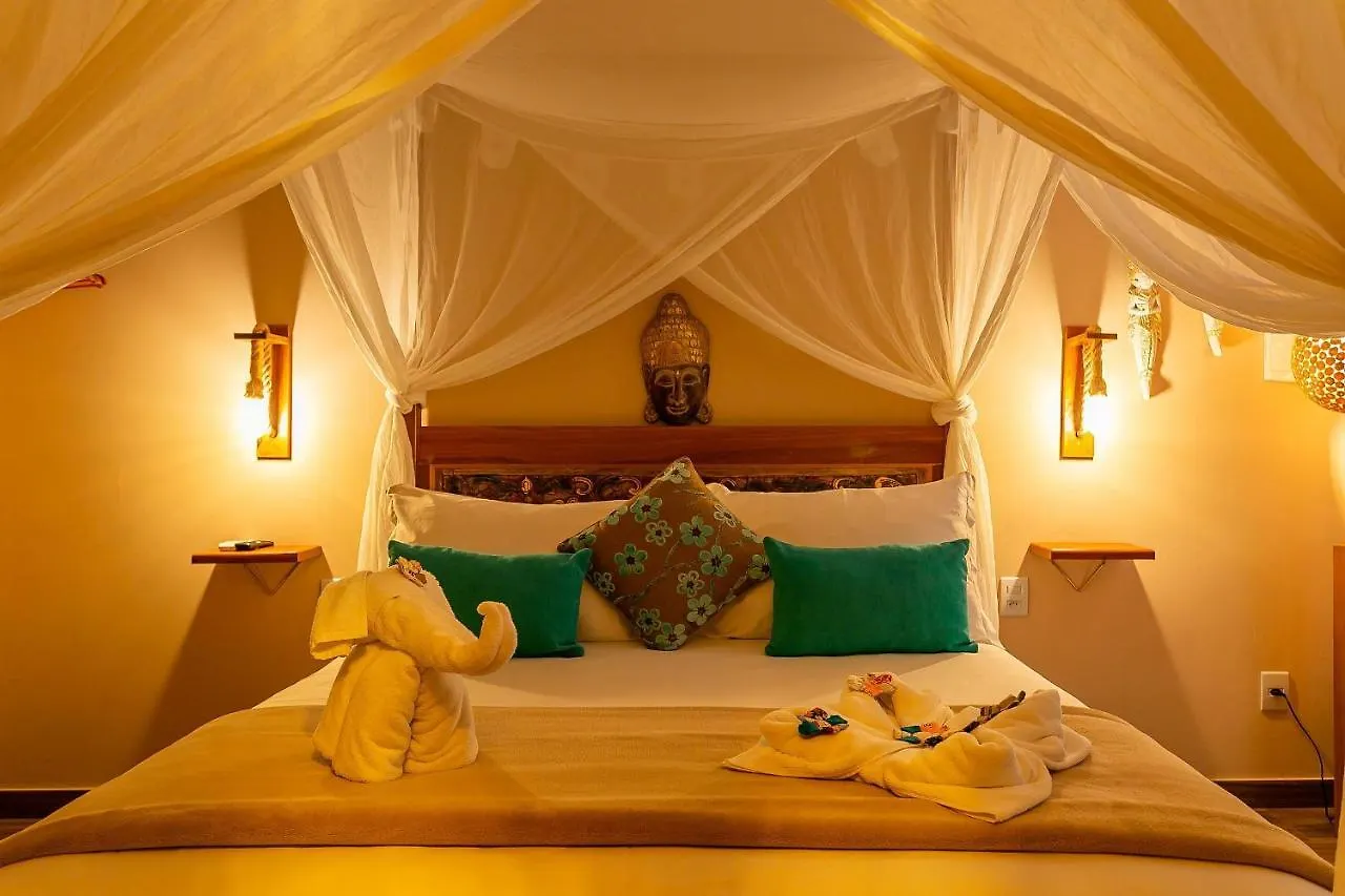 Shiva Boutique Hotel - 普腊亚罗萨